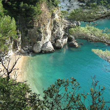 Casa Ricciotto Διαμέρισμα Vico Del Gargano Εξωτερικό φωτογραφία